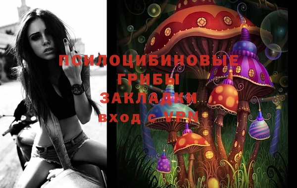 таблы Бородино