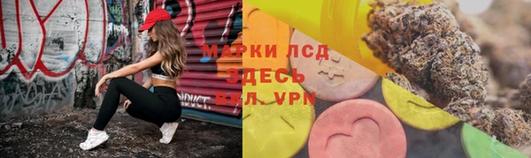 таблы Бородино